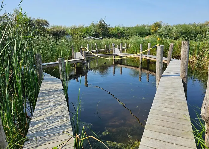 Olmenduin Chalet Olm Zeeland