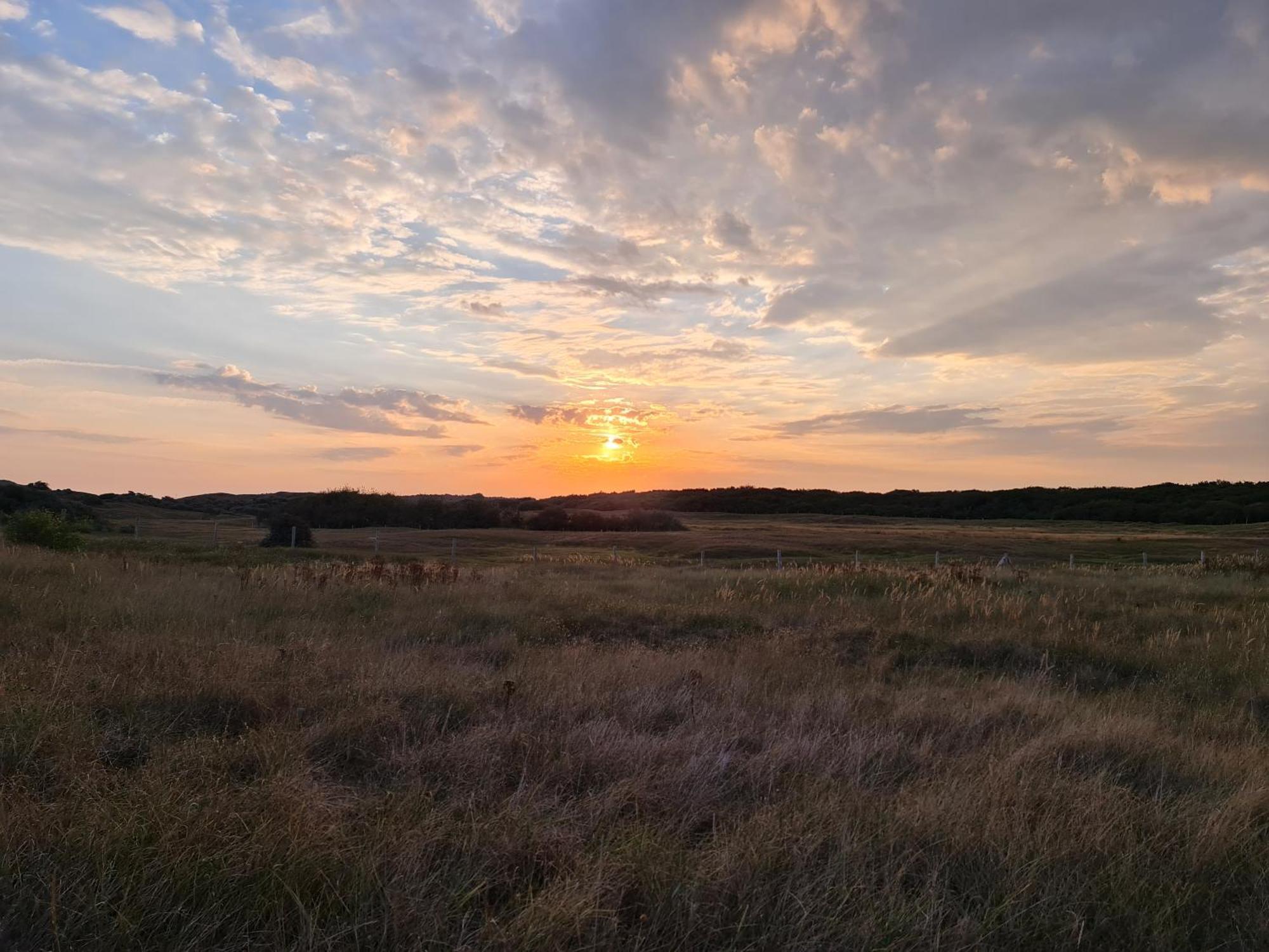 Holiday home Olmenduin Olm Zeeland