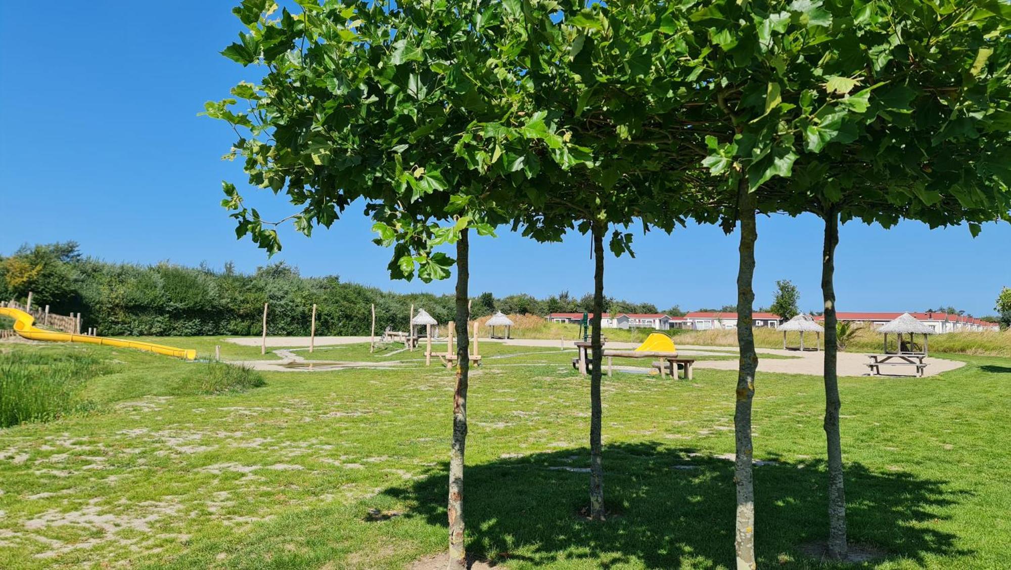 Olmenduin Olm Zeeland