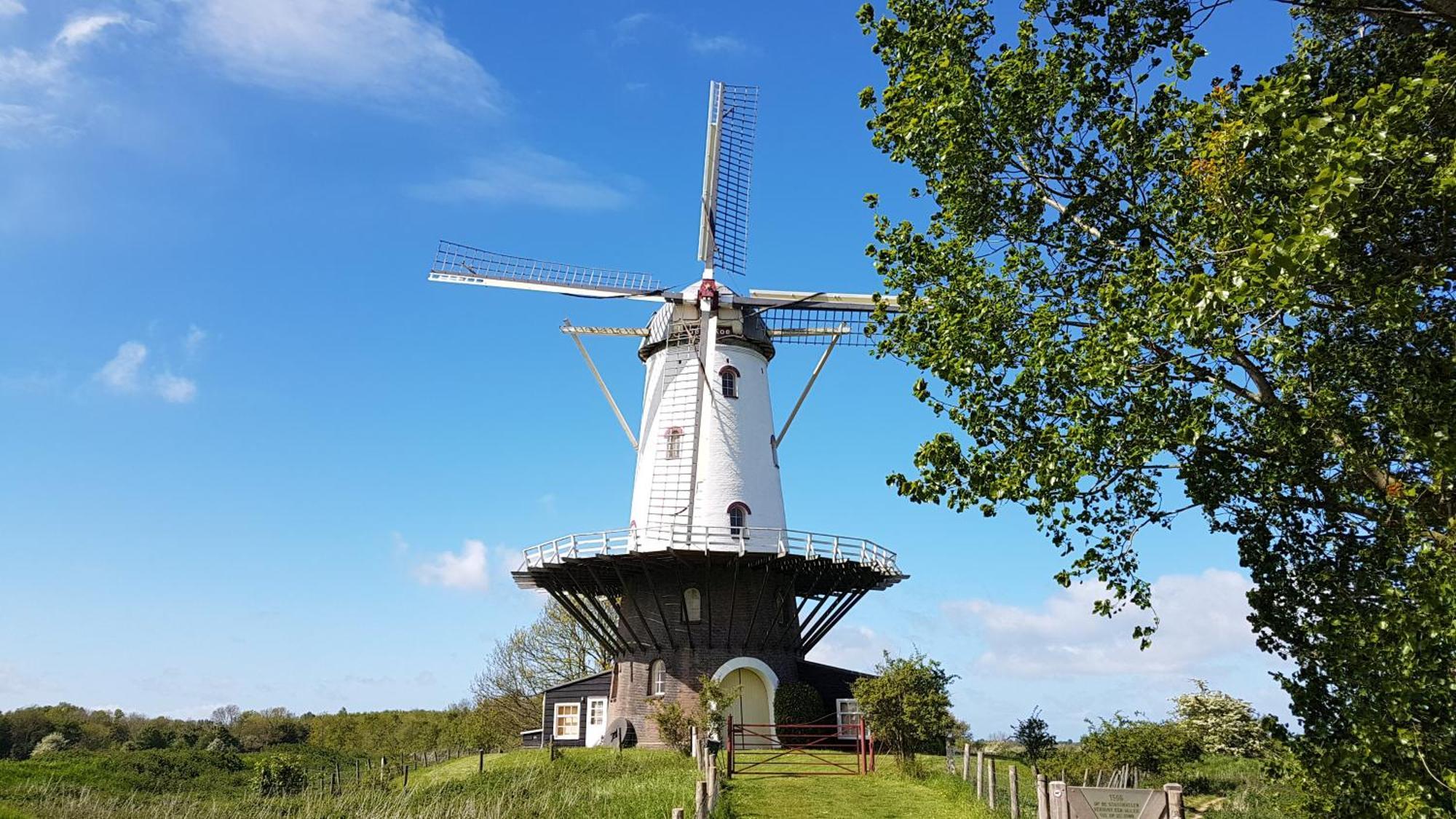 Holiday home Olmenduin Olm Zeeland