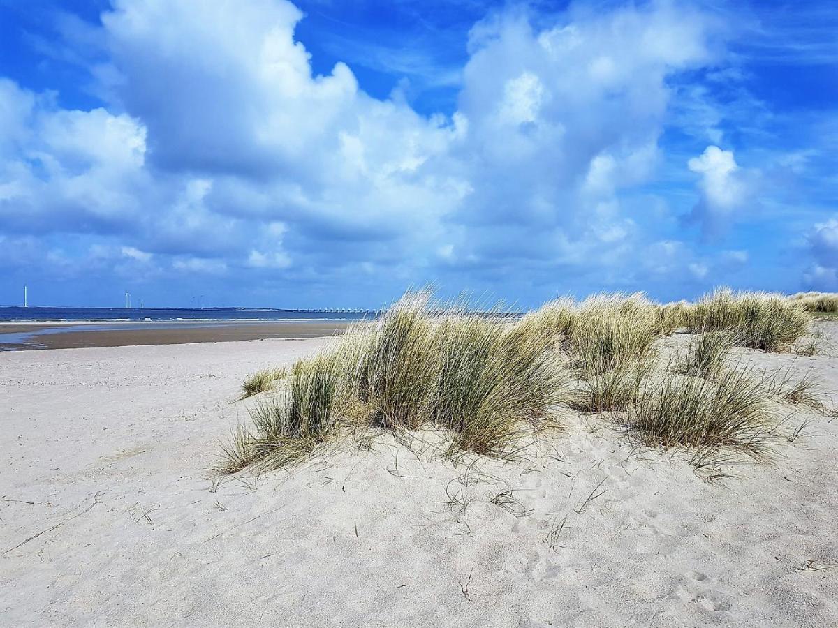 Olmenduin Olm Zeeland